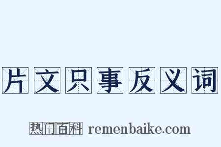 片文只事反义词是什么意思的图片